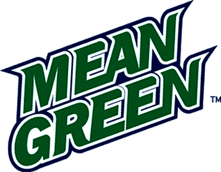 North Texas Mean Green 2003-2004 Wordmark Logo iron on transfers for clothing